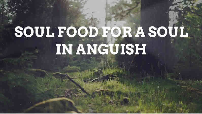 Soul Food for a Soul in Anguish